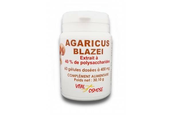 Agaricus Blazei